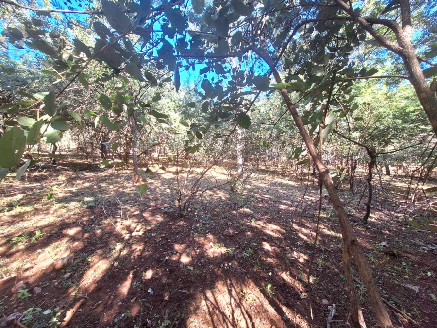 0 Bedroom Property for Sale in Leeupoort Limpopo