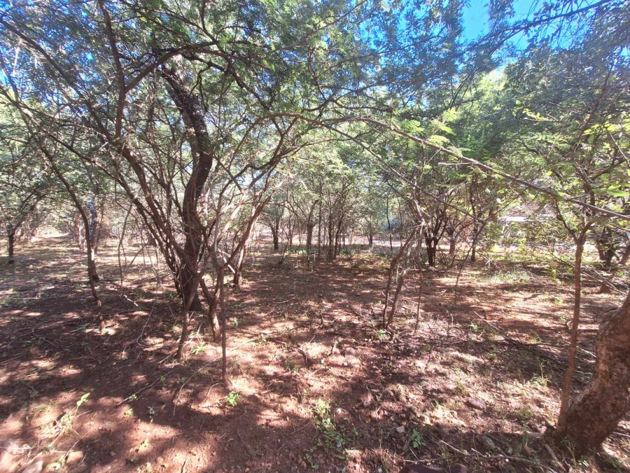 0 Bedroom Property for Sale in Leeupoort Limpopo