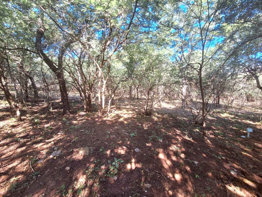 0 Bedroom Property for Sale in Leeupoort Limpopo