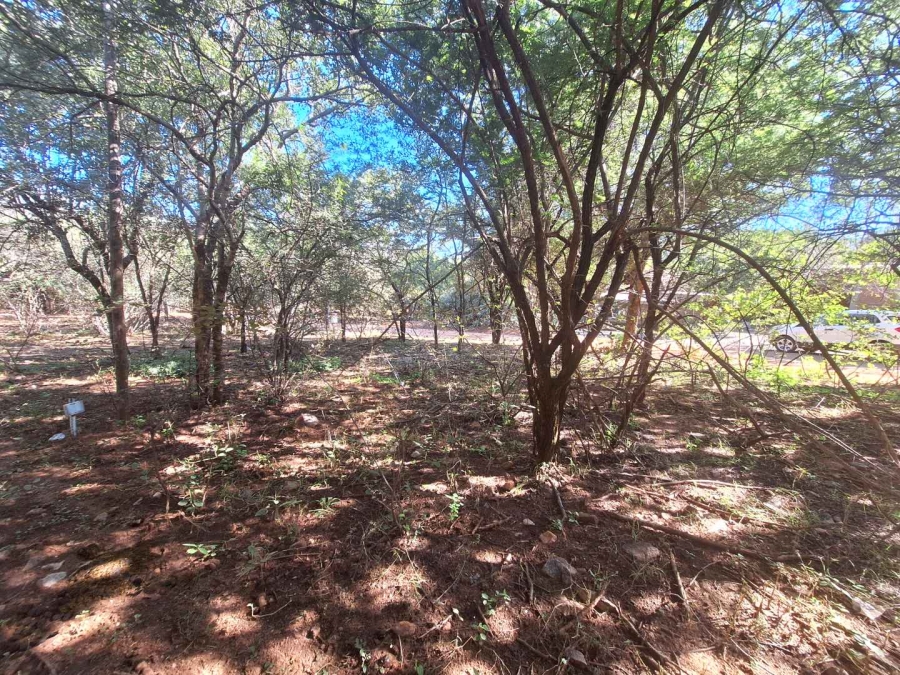 0 Bedroom Property for Sale in Leeupoort Limpopo