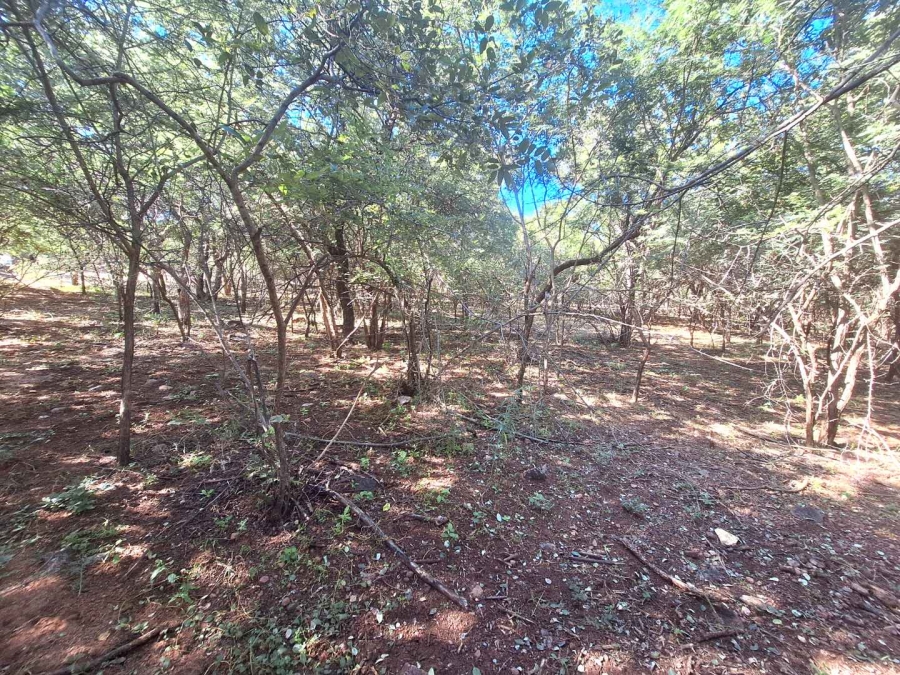 0 Bedroom Property for Sale in Leeupoort Limpopo