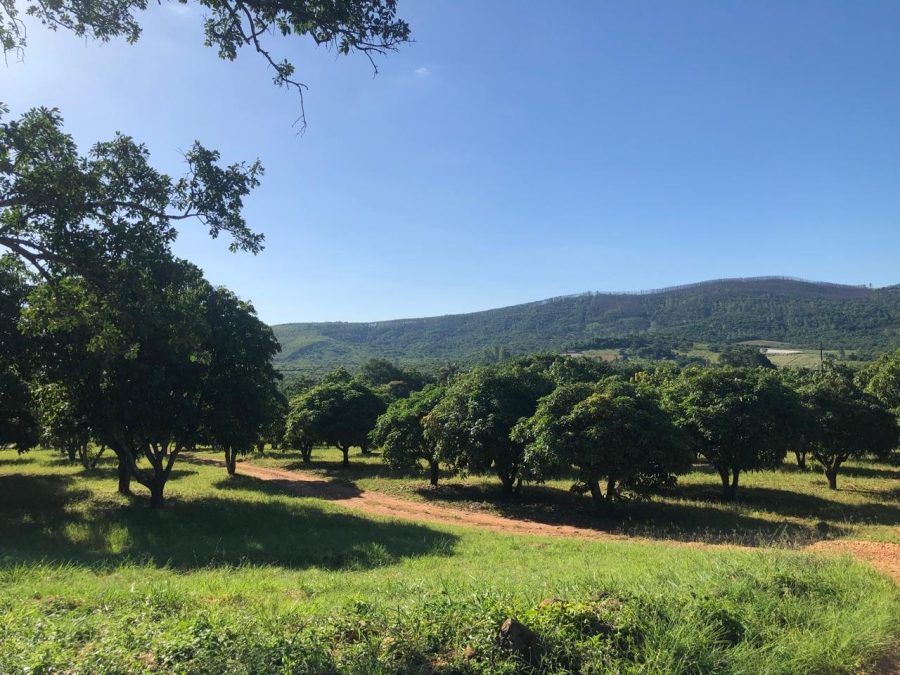 0 Bedroom Property for Sale in Tzaneen Rural Limpopo