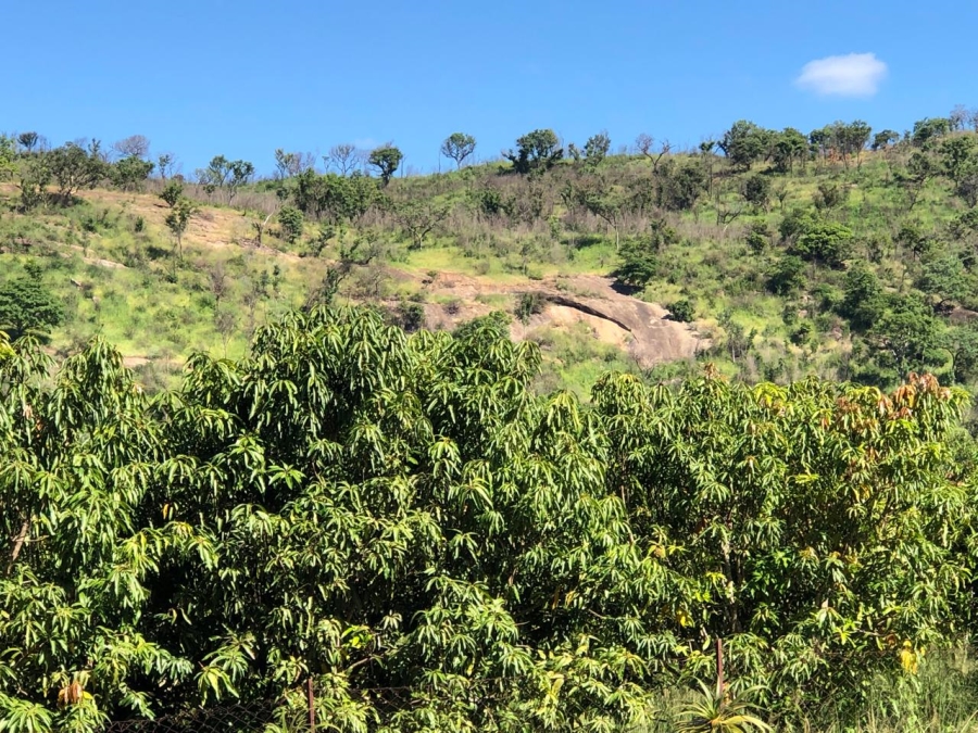0 Bedroom Property for Sale in Tzaneen Rural Limpopo