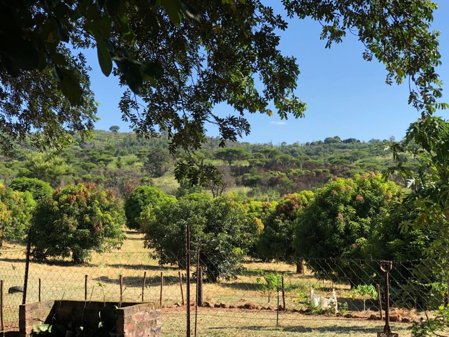 0 Bedroom Property for Sale in Tzaneen Rural Limpopo