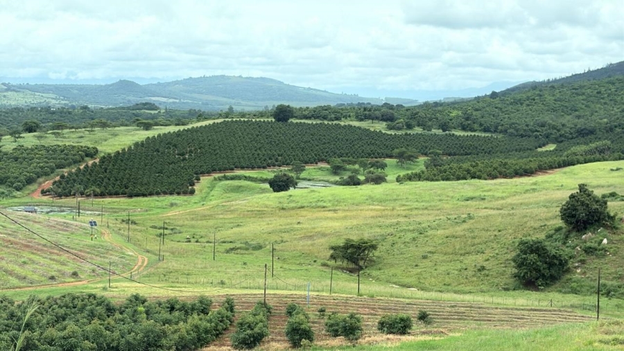 0 Bedroom Property for Sale in Tzaneen Rural Limpopo