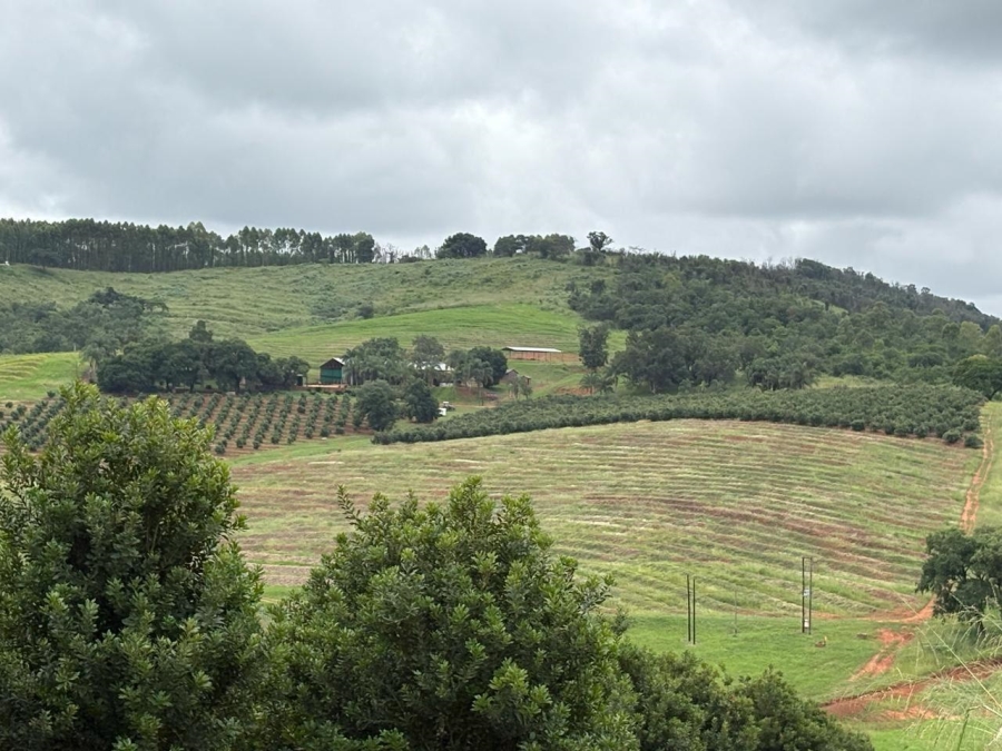 0 Bedroom Property for Sale in Tzaneen Rural Limpopo