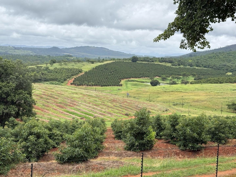 0 Bedroom Property for Sale in Tzaneen Rural Limpopo