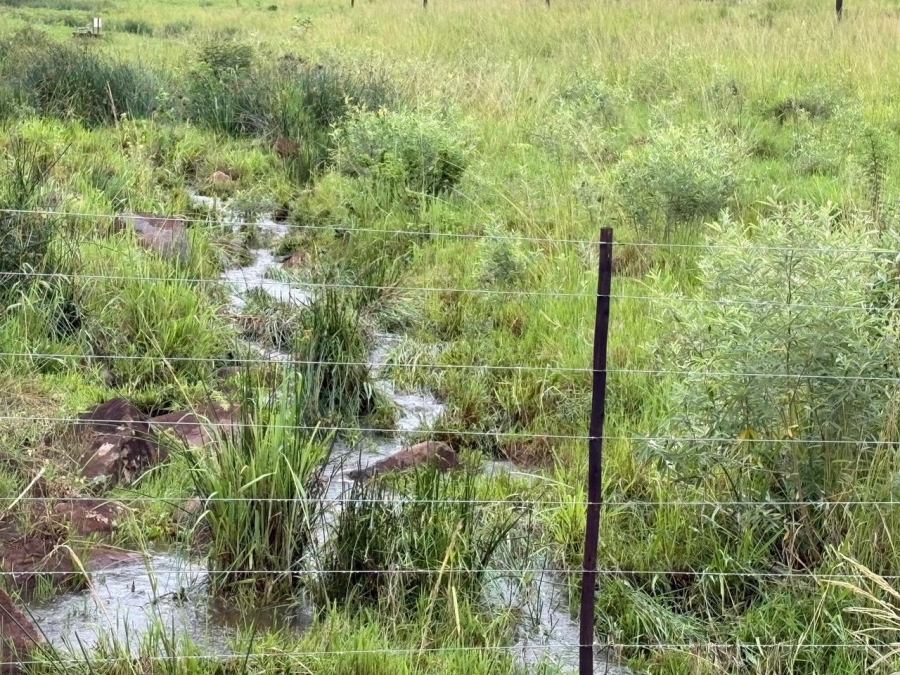 0 Bedroom Property for Sale in Tzaneen Rural Limpopo