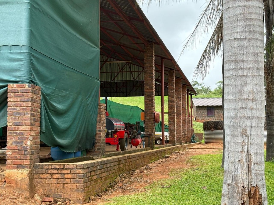 0 Bedroom Property for Sale in Tzaneen Rural Limpopo