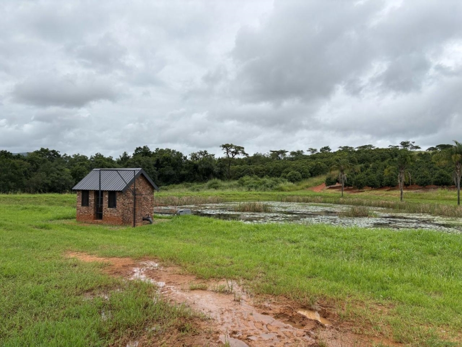 0 Bedroom Property for Sale in Tzaneen Rural Limpopo