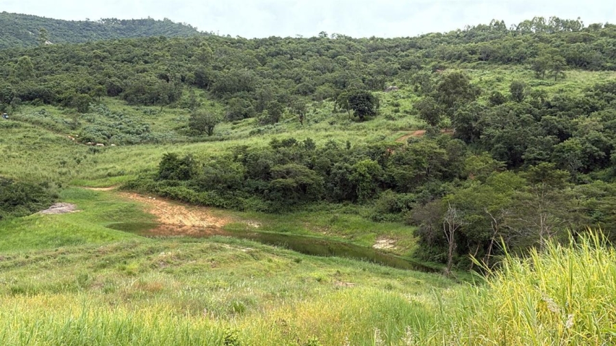 0 Bedroom Property for Sale in Tzaneen Rural Limpopo