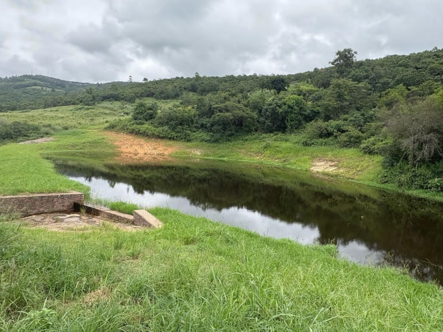 0 Bedroom Property for Sale in Tzaneen Rural Limpopo