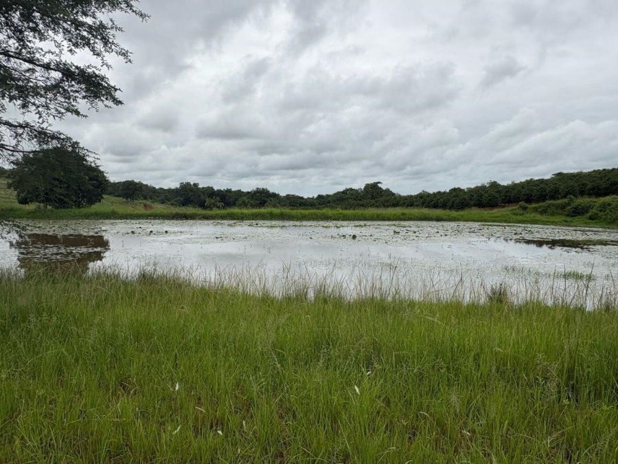 0 Bedroom Property for Sale in Tzaneen Rural Limpopo