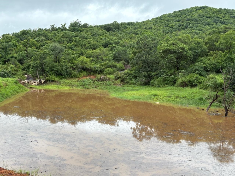 0 Bedroom Property for Sale in Tzaneen Rural Limpopo