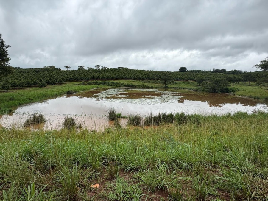 0 Bedroom Property for Sale in Tzaneen Rural Limpopo