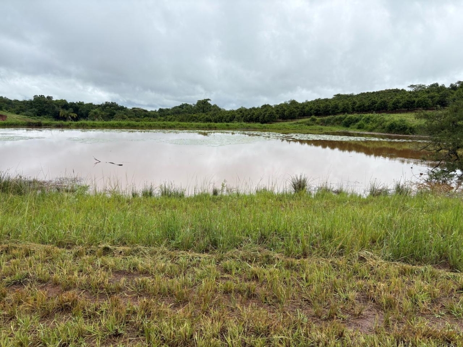 0 Bedroom Property for Sale in Tzaneen Rural Limpopo