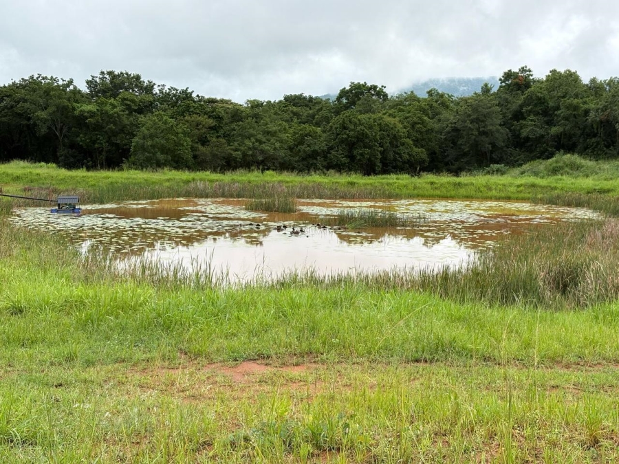 0 Bedroom Property for Sale in Tzaneen Rural Limpopo