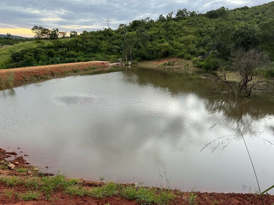 0 Bedroom Property for Sale in Tzaneen Rural Limpopo