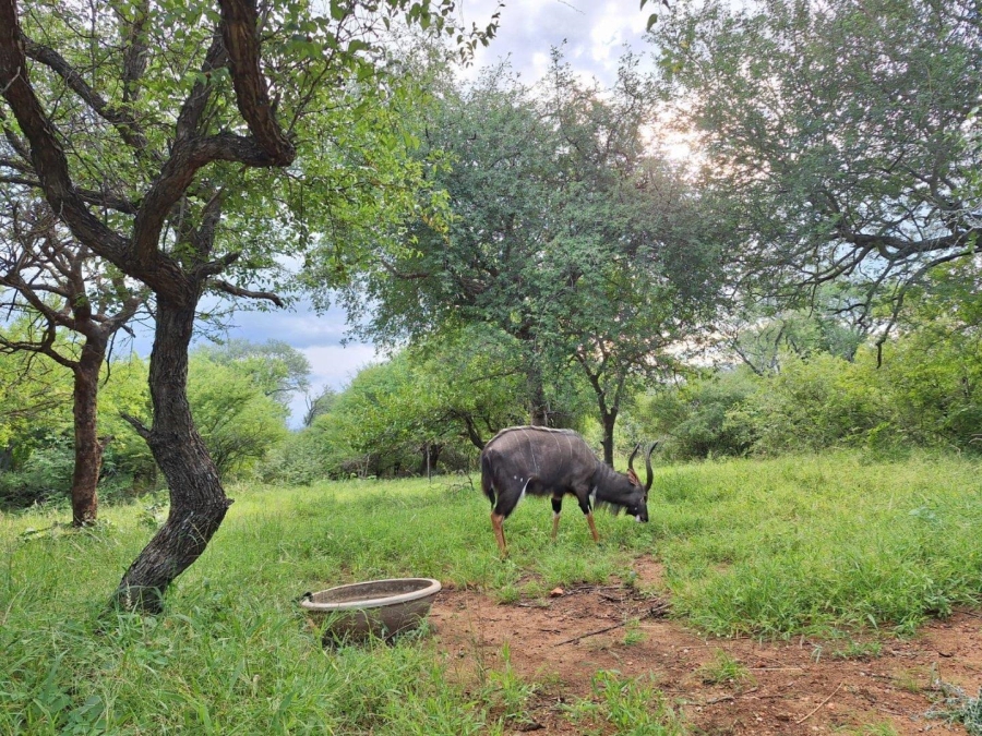 3 Bedroom Property for Sale in Zandspruit Bush Aero Estate Limpopo