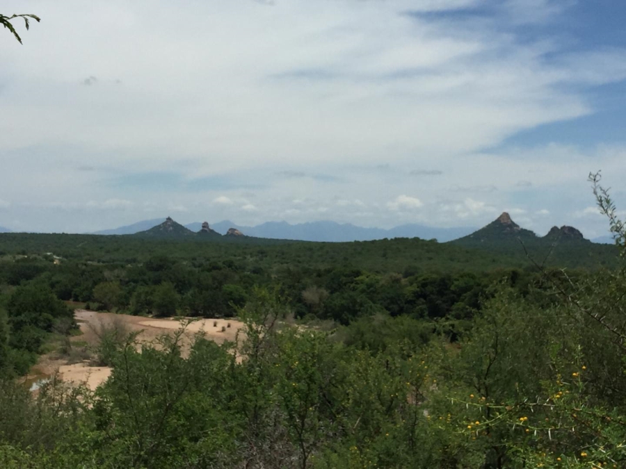 0 Bedroom Property for Sale in Elephant Rock Eco Estate Limpopo