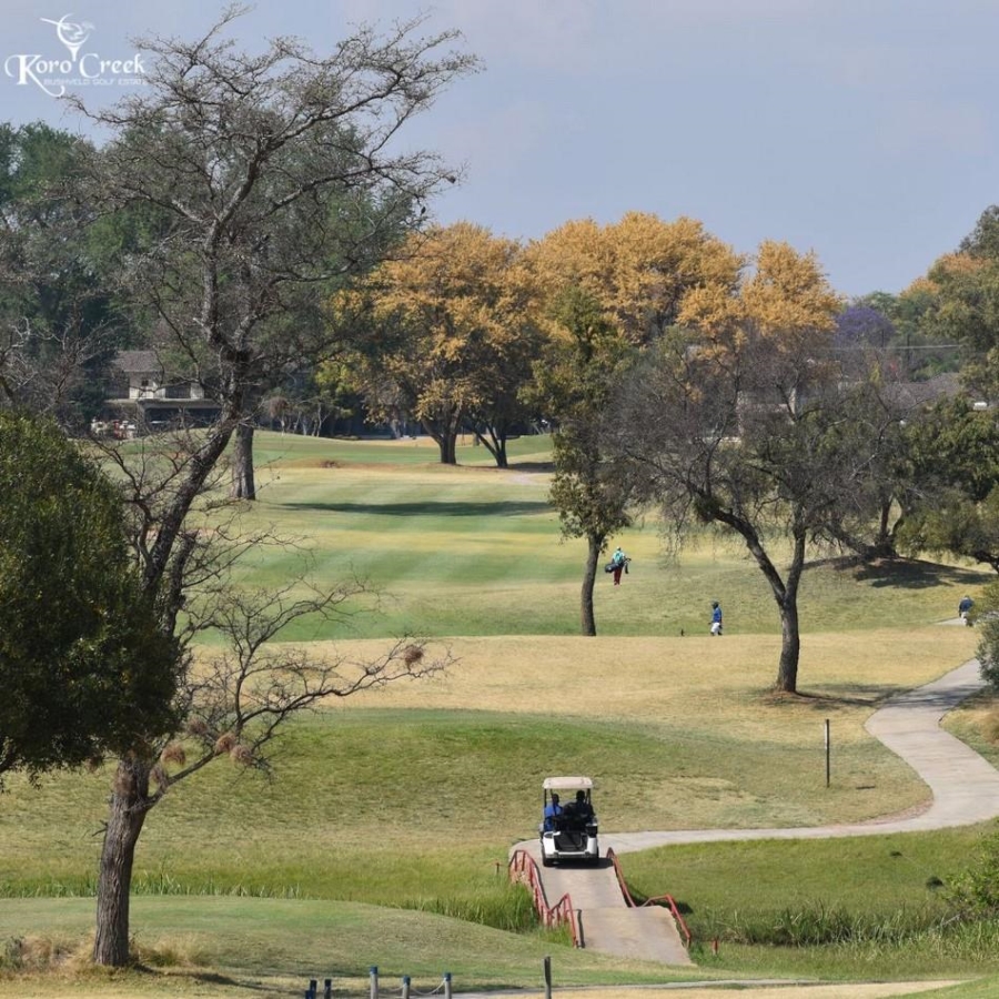 0 Bedroom Property for Sale in Koro Creek Golf Estate Limpopo