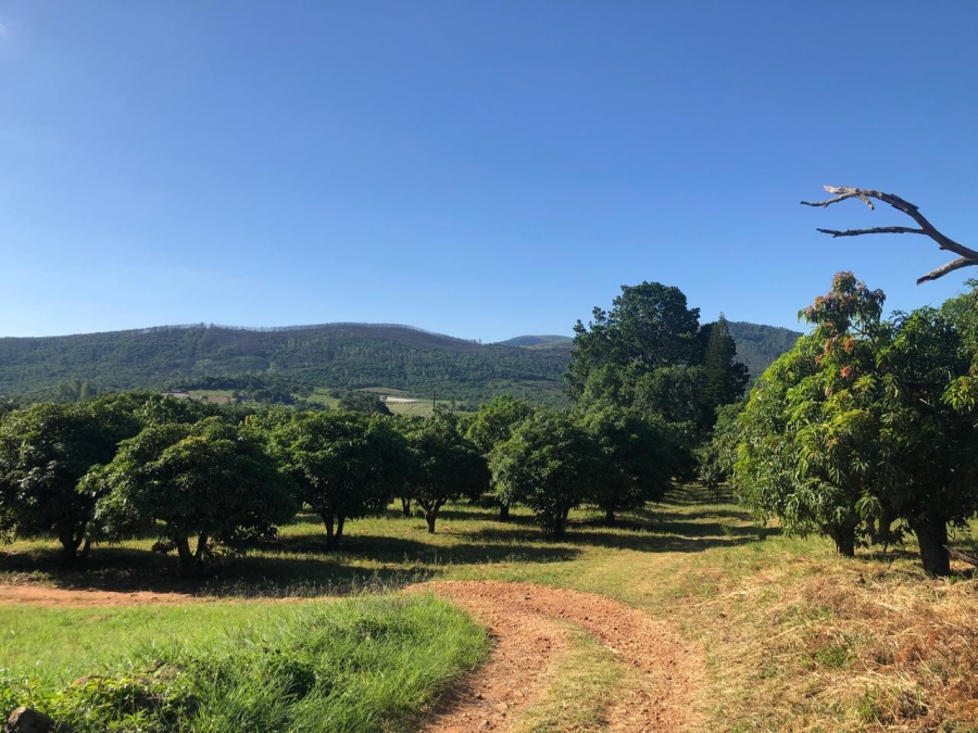 4 Bedroom Property for Sale in Tzaneen Rural Limpopo