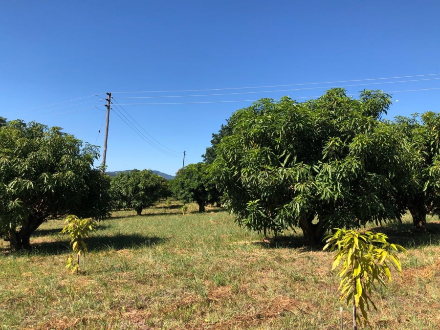 4 Bedroom Property for Sale in Tzaneen Rural Limpopo