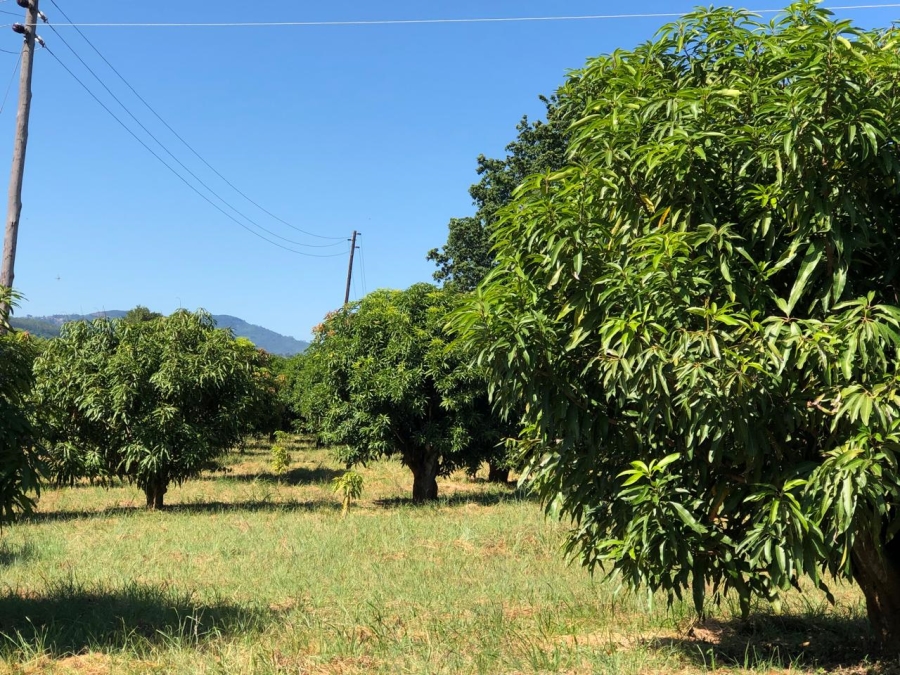 4 Bedroom Property for Sale in Tzaneen Rural Limpopo