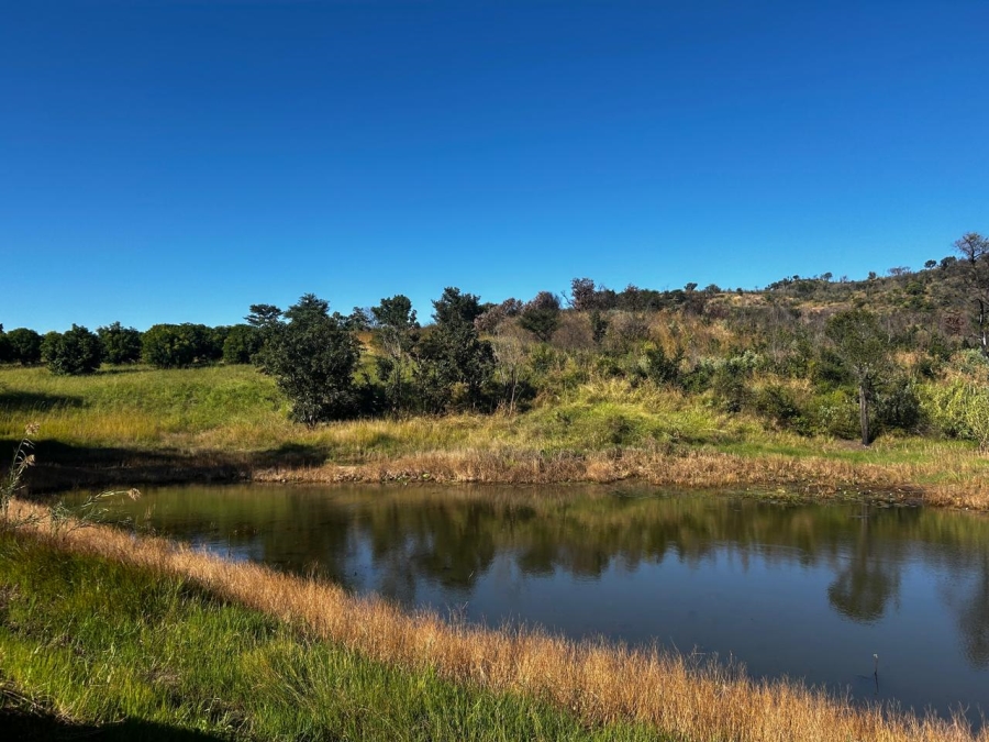 4 Bedroom Property for Sale in Tzaneen Rural Limpopo