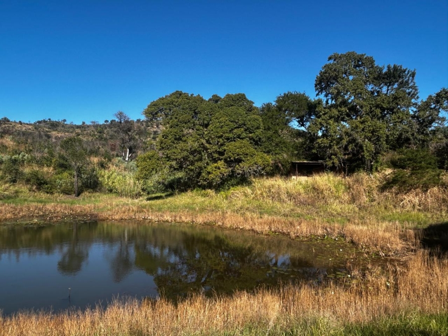 4 Bedroom Property for Sale in Tzaneen Rural Limpopo