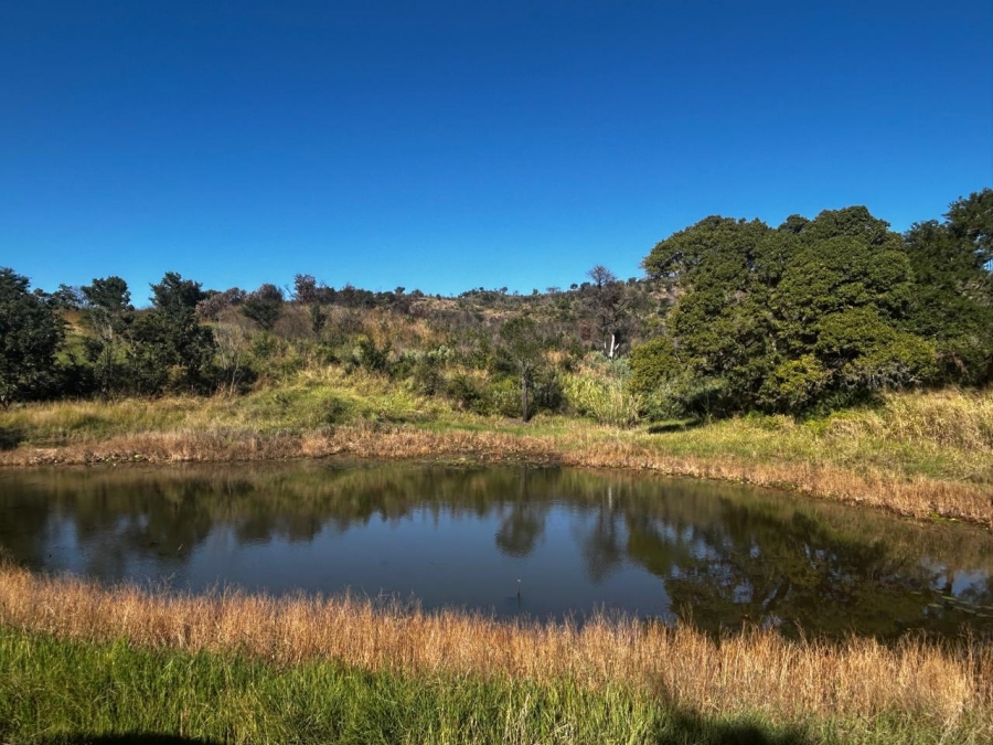 4 Bedroom Property for Sale in Tzaneen Rural Limpopo