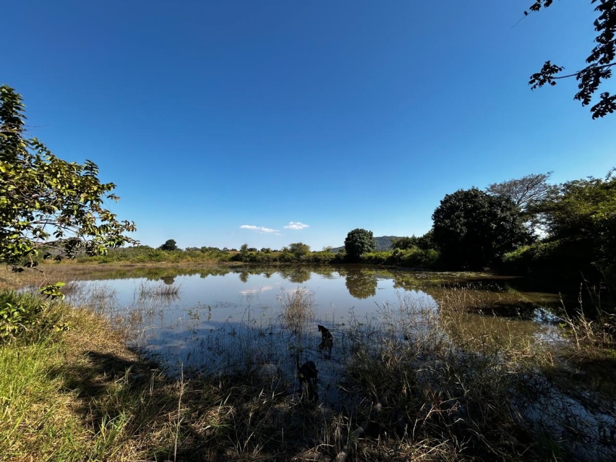 6 Bedroom Property for Sale in Tzaneen Rural Limpopo