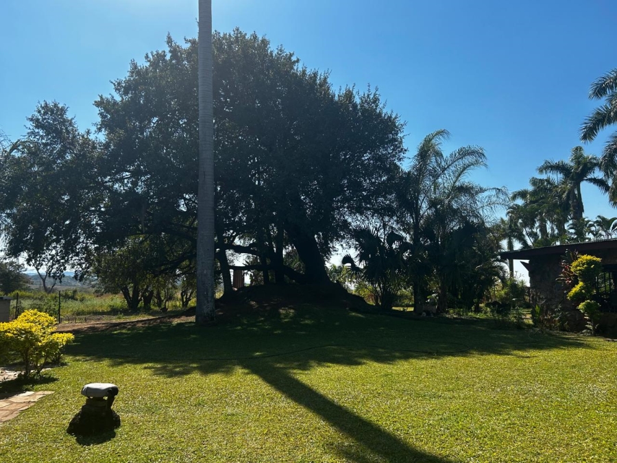 6 Bedroom Property for Sale in Tzaneen Rural Limpopo