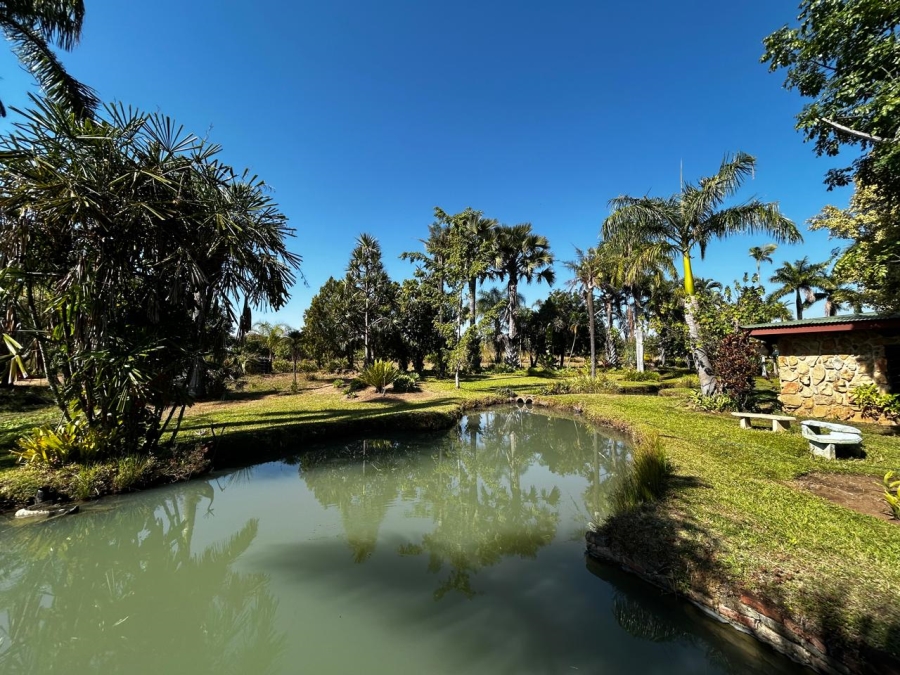 6 Bedroom Property for Sale in Tzaneen Rural Limpopo