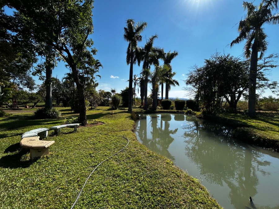 6 Bedroom Property for Sale in Tzaneen Rural Limpopo