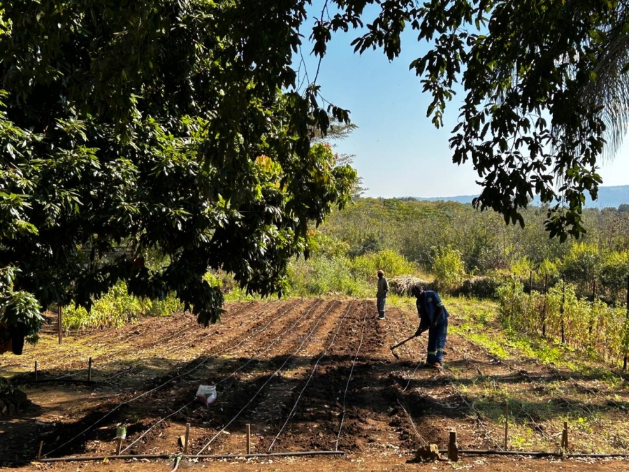 6 Bedroom Property for Sale in Tzaneen Rural Limpopo