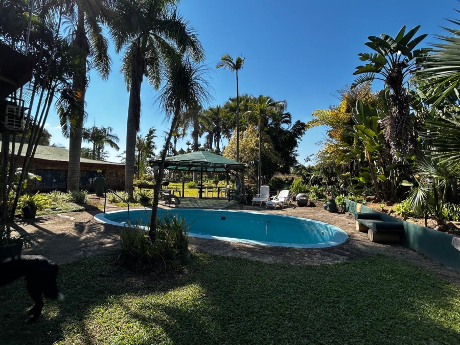 6 Bedroom Property for Sale in Tzaneen Rural Limpopo