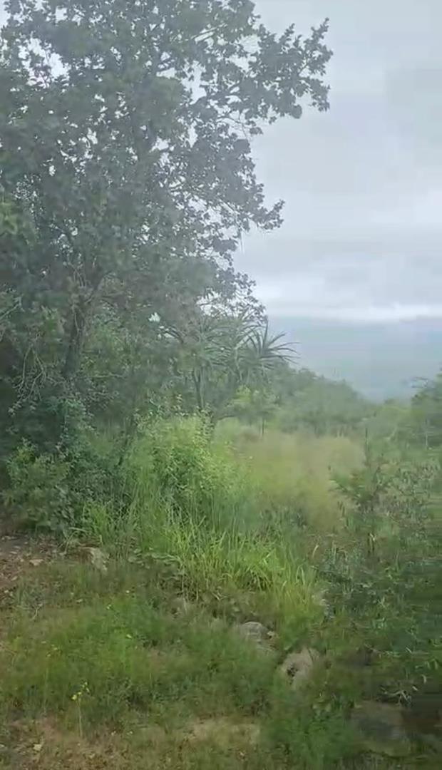 0 Bedroom Property for Sale in Modjadjiskloof Limpopo