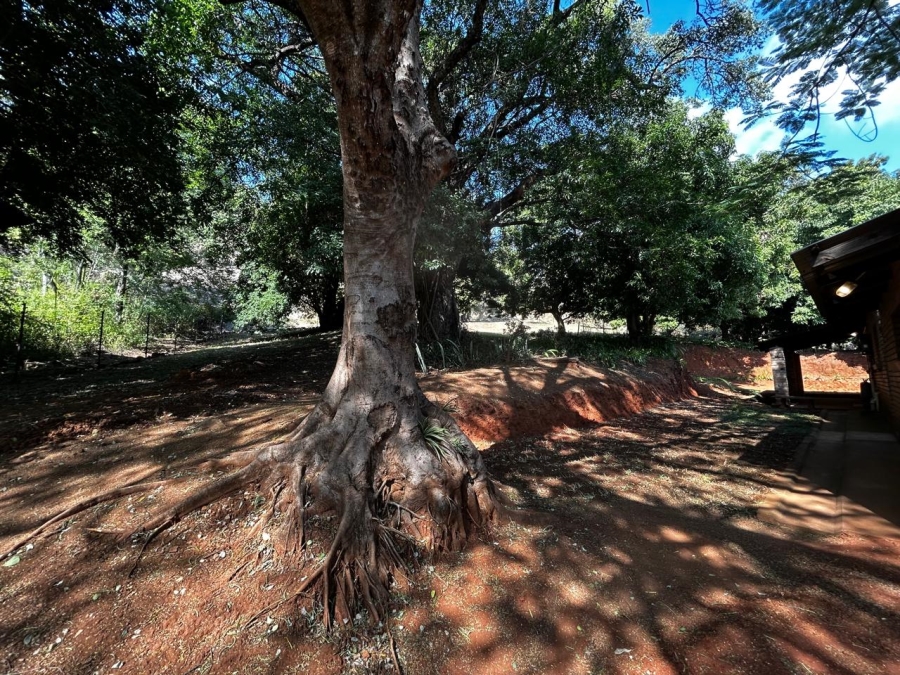 To Let 2 Bedroom Property for Rent in Tzaneen Rural Limpopo