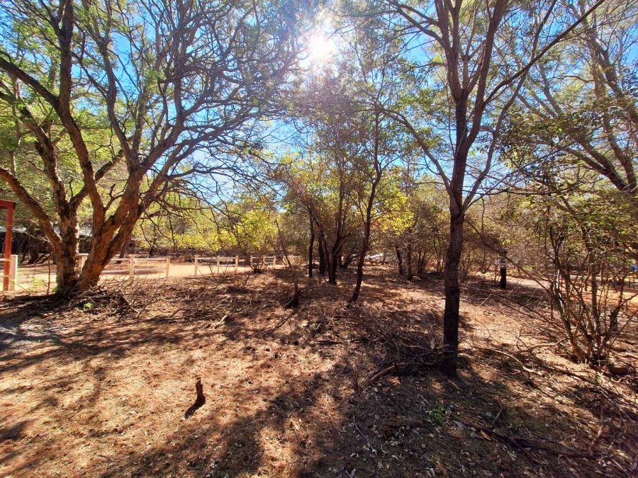 0 Bedroom Property for Sale in Leeupoort Limpopo