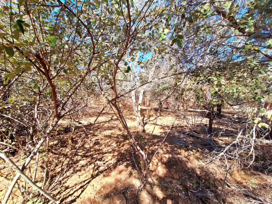 0 Bedroom Property for Sale in Leeupoort Limpopo