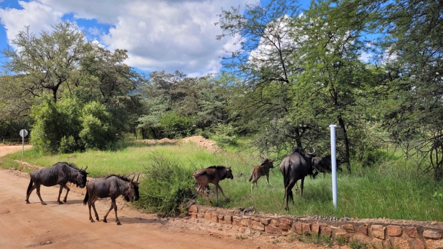 0 Bedroom Property for Sale in Leeupoort Limpopo