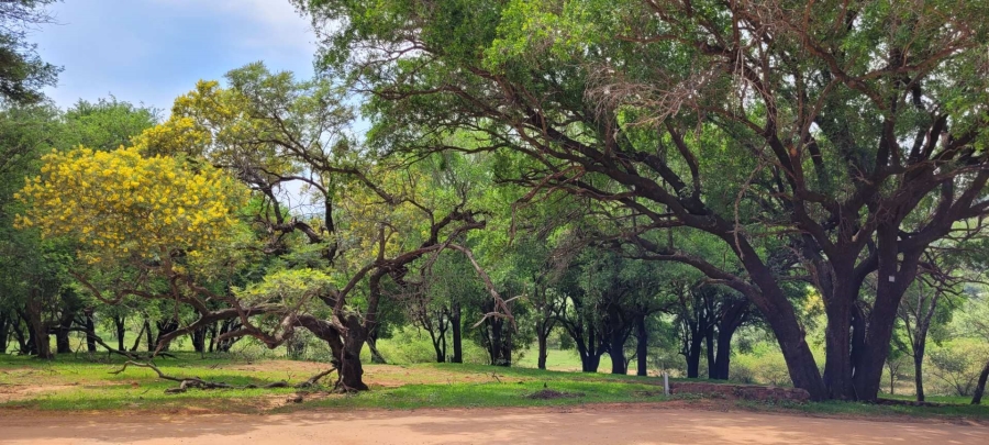 0 Bedroom Property for Sale in Leeupoort Limpopo