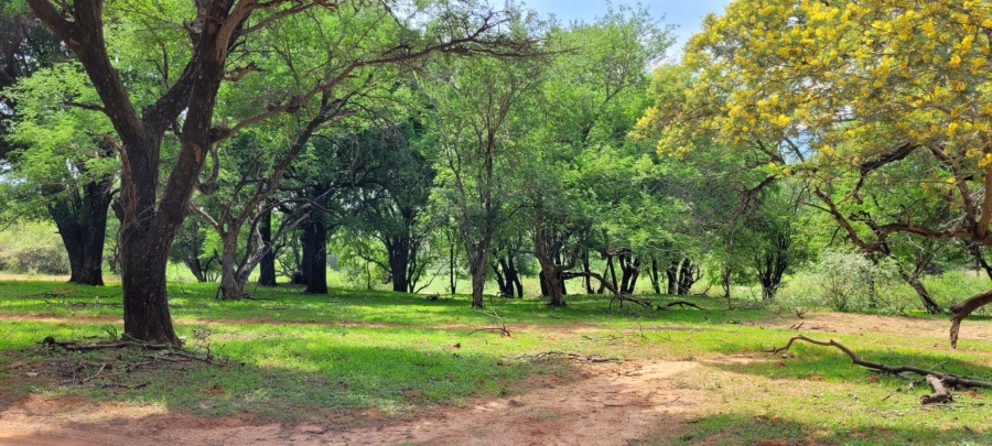 0 Bedroom Property for Sale in Leeupoort Limpopo