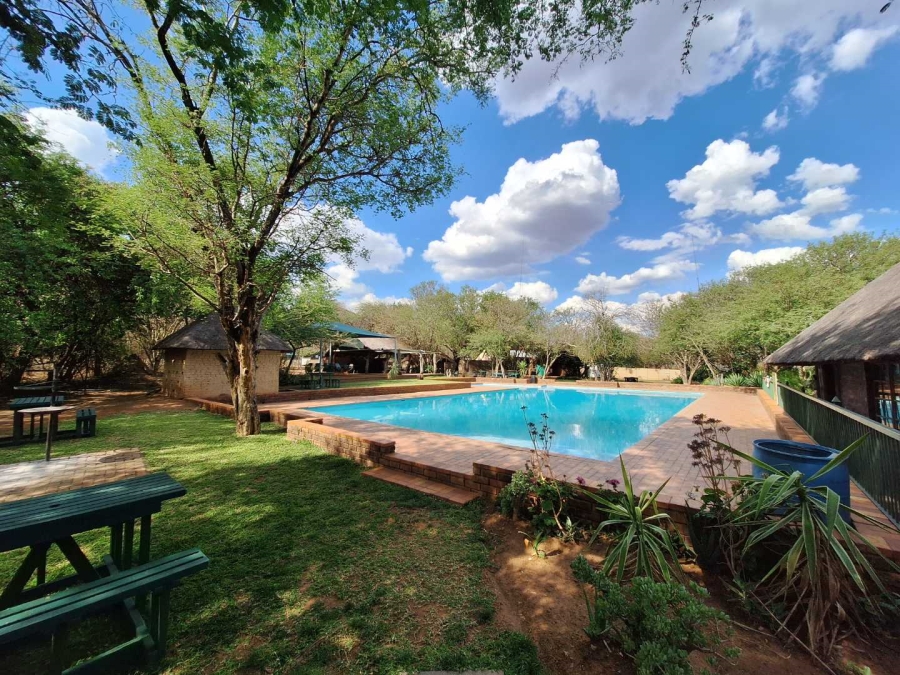 0 Bedroom Property for Sale in Leeupoort Limpopo