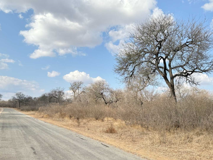 0 Bedroom Property for Sale in Hoedspruit Wildlife Estate Limpopo