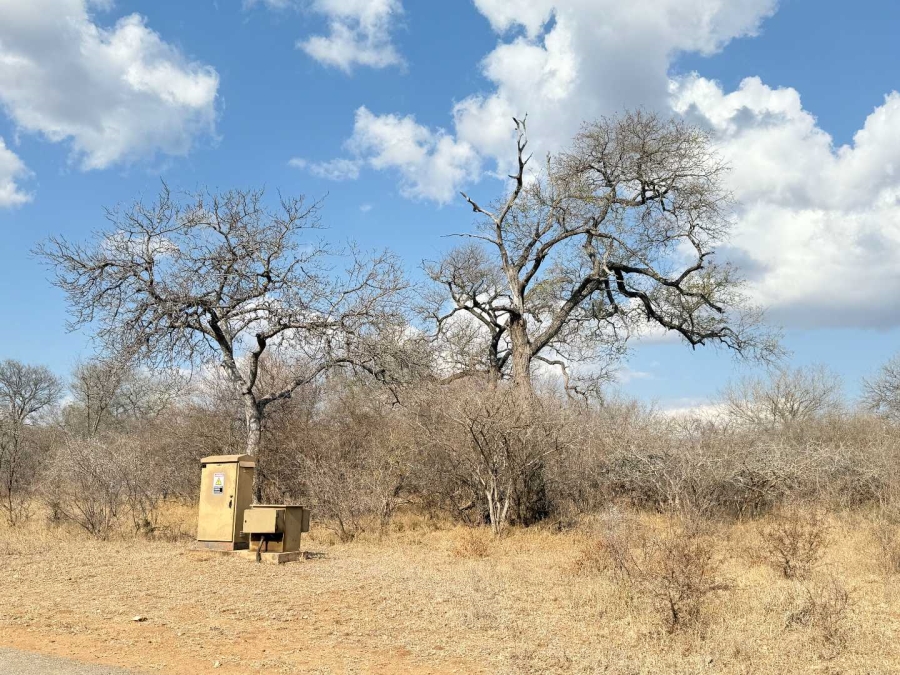 0 Bedroom Property for Sale in Hoedspruit Wildlife Estate Limpopo
