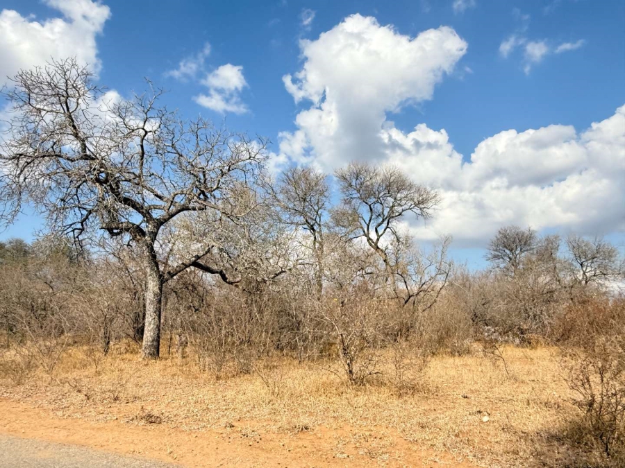 0 Bedroom Property for Sale in Hoedspruit Wildlife Estate Limpopo