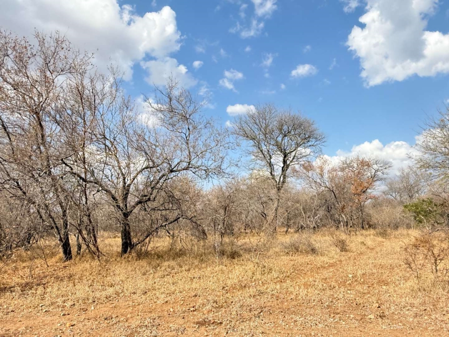 0 Bedroom Property for Sale in Hoedspruit Wildlife Estate Limpopo