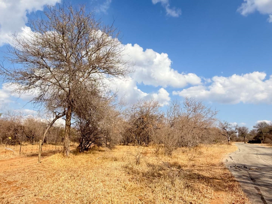 0 Bedroom Property for Sale in Hoedspruit Wildlife Estate Limpopo